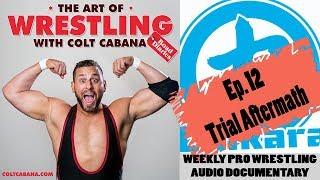 Ep 12 Trial Aftermath - Art of Wrestling Podcast w Colt Cabana