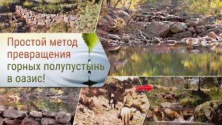 Простой метод превращения горных полупустынь в оазис