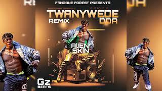 Alien skin - TWANYWEDE dda  official Audio- Remix