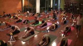 Balanced Yin Yoga  60-Minute Full Body Restoration with Travis Eliot