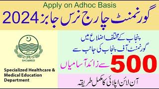 Charge Nurse Job 2024 in Specialized Healthcare and Medical Education Department Punjab Apply Online