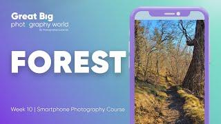 Mastering Forest Photography With Your Smartphone Shooting And Editing Tips  Week 10
