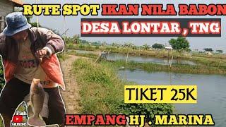 EXPLORE SPOT MANCING IKAN NILA BABON DI DESA LONTAR TANGERANG