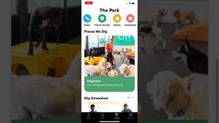 Dig - The Dog Persons Dating App and Dogtopia