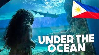 The Most INTENSE Aquarium EVER  MANILA OCEAN PARK Vlog