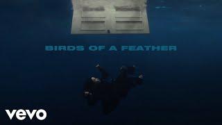 Billie Eilish - BIRDS OF A FEATHER Official Lyric Video