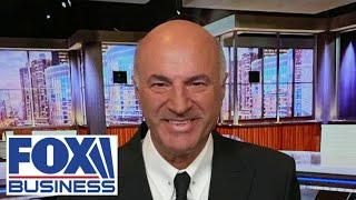 Kamala Harris is ‘paying the price’ Kevin O’Leary