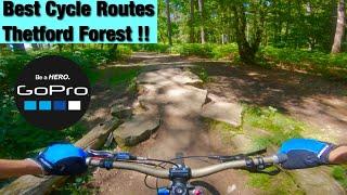 Best of Thetford Forest Cycling Lime Burner trail with some black routes