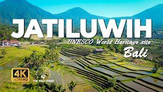 4K Drone Tour UNESCO World Heritage Site in Bali  Jatiluwih Rice Terrace with Relaxing Music