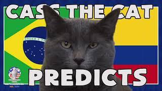 CASS THE CAT PREDICTS COPA AMERICA 2024 - BRAZIL vs COLOMBIA