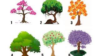 Тест Выберите дерево и узнайте черты характера.