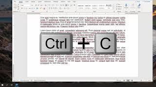 How to Duplicate a Page in Word