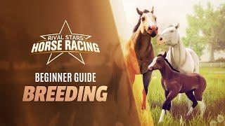 Beginner Guide to Breeding  Rival Stars Horse Racing