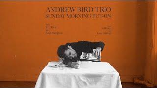 Andrew Bird - My Ideal Official Audio