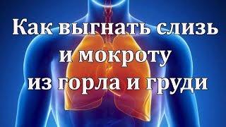 Как выгнать слизь и мокроту из горла и груди? Как выгнать слизь и мокроту доступными средствами?