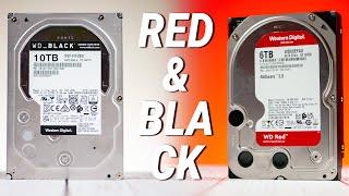 Обзор дисков WD Red 6TB WD60EFAX и WD Black Performance 10TB WD101FZBX    Root Nation