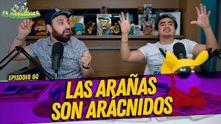 La Cotorrisa - Episodio 60 - Las arañas son arácnidos