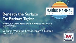 Beneath The Surface Vanishing Vaquitas With Dr.  Barbara Taylor