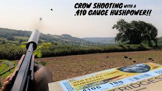 Crow Shooting  .410 Hush Power  Silenced Shotgun