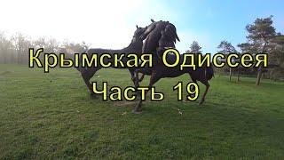 Крымская Одиссея  Часть 19  От Ростова до Саратова по убитой дороге   Автопутешествие  2021