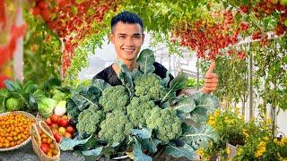 This Is How To Grow Broccoli I Learned From My Grandma And Its Really Useful