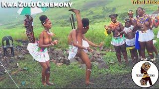 Kwa Zulu Tribe Ceremony Traditional Zulu African Dance