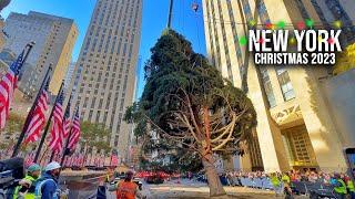 NYC Rockefeller Center Christmas Tree 2023 Installation  New York City Christmas 2023 