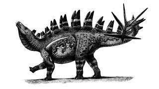 Chungkingosaurus - A Jurassic Chinese Stegosaur