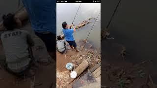 How to catch a gaint fish 