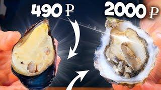 EXPENSIVE OYSTERS VS MUSSELS  WHAT TASTES BETTER?