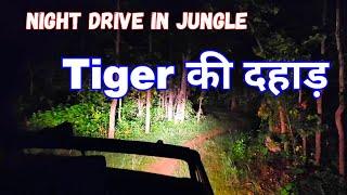 Tiger Attack Ep 15   Scary Night Drive Tiger Aagaya Wapas Bandhavgarh Jungle #जंगल