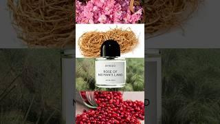 Top 3 Chai Nước Hoa Mùi Hoa Hồng Siêu Hay Mà Bạn Không Thể Bỏ Lỡ #reviewnuochoa #vitaperfume
