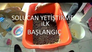 SOLUCAN GÜBRE Sİ İLK BAŞLAYACAKLAR ÖNEMLİ DETAYLAR VE YAPILIŞI