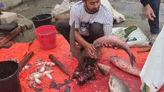 Amazing Blood Carp Fish Cutting Skills #fishcutting