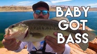 Bass Fishing in Sand Hollow Utah  CATCH CLEAN COOK