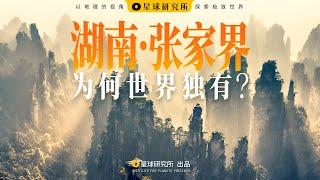 张家界是什么界？为何世界独有？【新山海经03】 Zhangjiajie The Birth of the 3000 Peaks  장자제 삼천기봉의 탄생