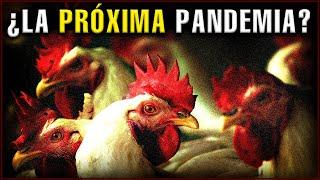 GRIPE AVIAR ¿La Próxima PANDEMIA? - Documental Mini