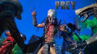 Feral Predator vs Razor Claw Alien Chrysails alien Arachnoid alien scorpion alien an epic battle