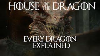 House of the Dragon Every Dragon Explained