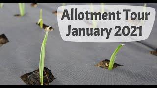 January 2021 Allotment Tour