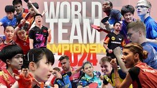 All about the ITTF World Team Table Tennis Championships Finals 2024  Information  Who will play?
