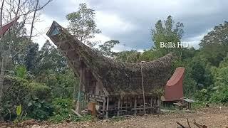 Tongkonan tertua di Sillanan I Perkampungan Adat Toraja di Gandang Batu Sillanan Mengkendek  Toraja