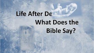 Life After Death What Does the Bible Say