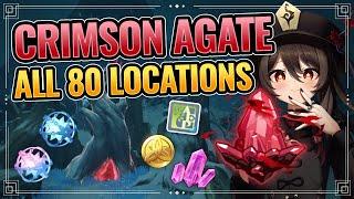 All 80 Crimson Agates Locations  WITH TIMESTAMPS + DETAILED GUIDE Genshin Impact Dragonspine