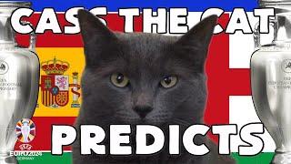 EURO 2024 FINAL PREDICTION - SPAIN vs ENGLAND CASS THE CAT