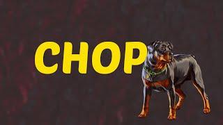 What Does CHOP Means  Meanings And Definitions With Example in ENGLISH