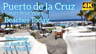 Tenerife ️ Puerto de la Cruz Beaches Today 24 April 2024 Teneriffa