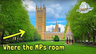 Walk around the Palace of Westminster + Westminster Abbey  London Walking Tour