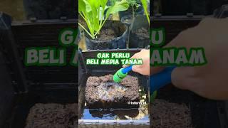 Gak Perlu Repot Nyari Tanah Subur