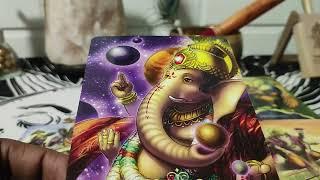 മൂലം നക്ഷത്രഫലം August 2024 Moolam Nakshatra phalam  Malayalam Tarot card reading